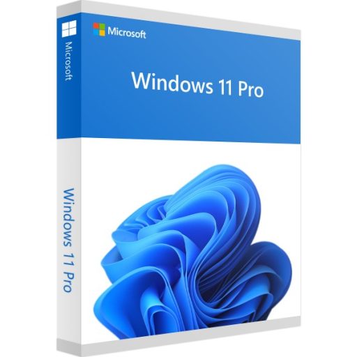 Windows_11_Pro